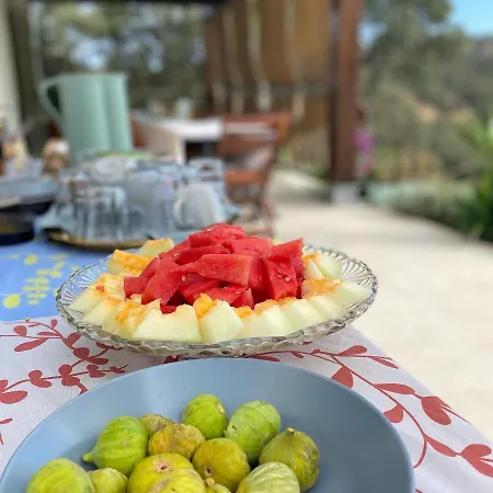 La Siesta Del Naranjo Monesterio