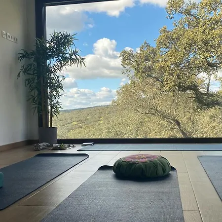 La Siesta Del Naranjo *