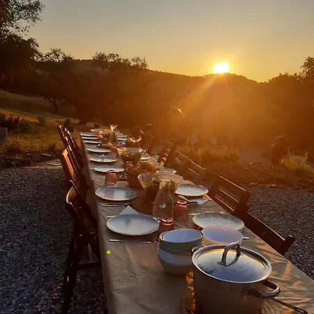 La Siesta Del Naranjo