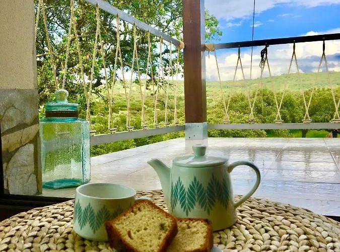 La Siesta Del Naranjo Hébergement de vacances *