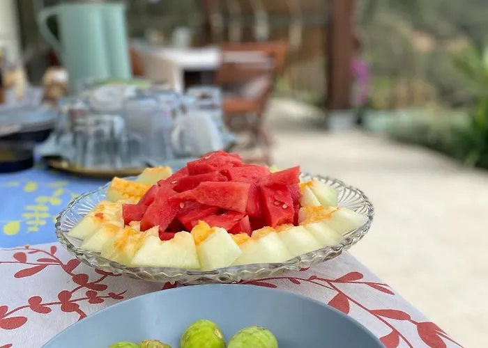 La Siesta Del Naranjo Monesterio