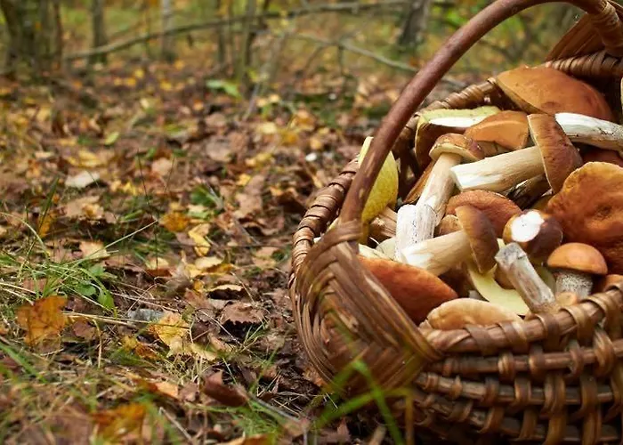 La Siesta Del Naranjo Monesterio